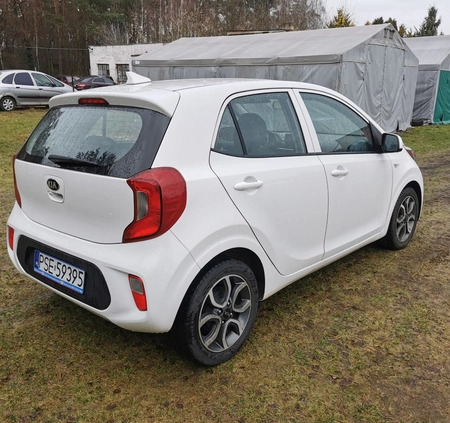 Kia Picanto cena 36900 przebieg: 85358, rok produkcji 2019 z Żerków małe 67